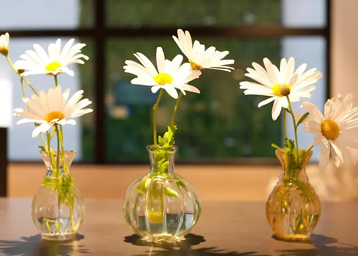 Novo Mar Lägenhetshotell 3*